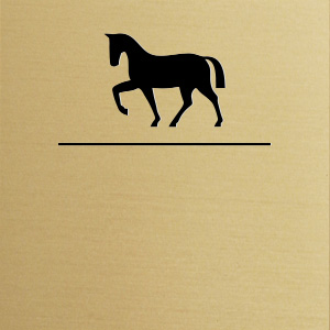 Boxskylt Silhouette, i guldfärgad plast med hästmotiv