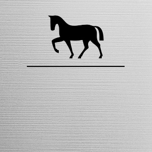 Boxskylt Silhouette, i silverfärgad plast med hästmotiv