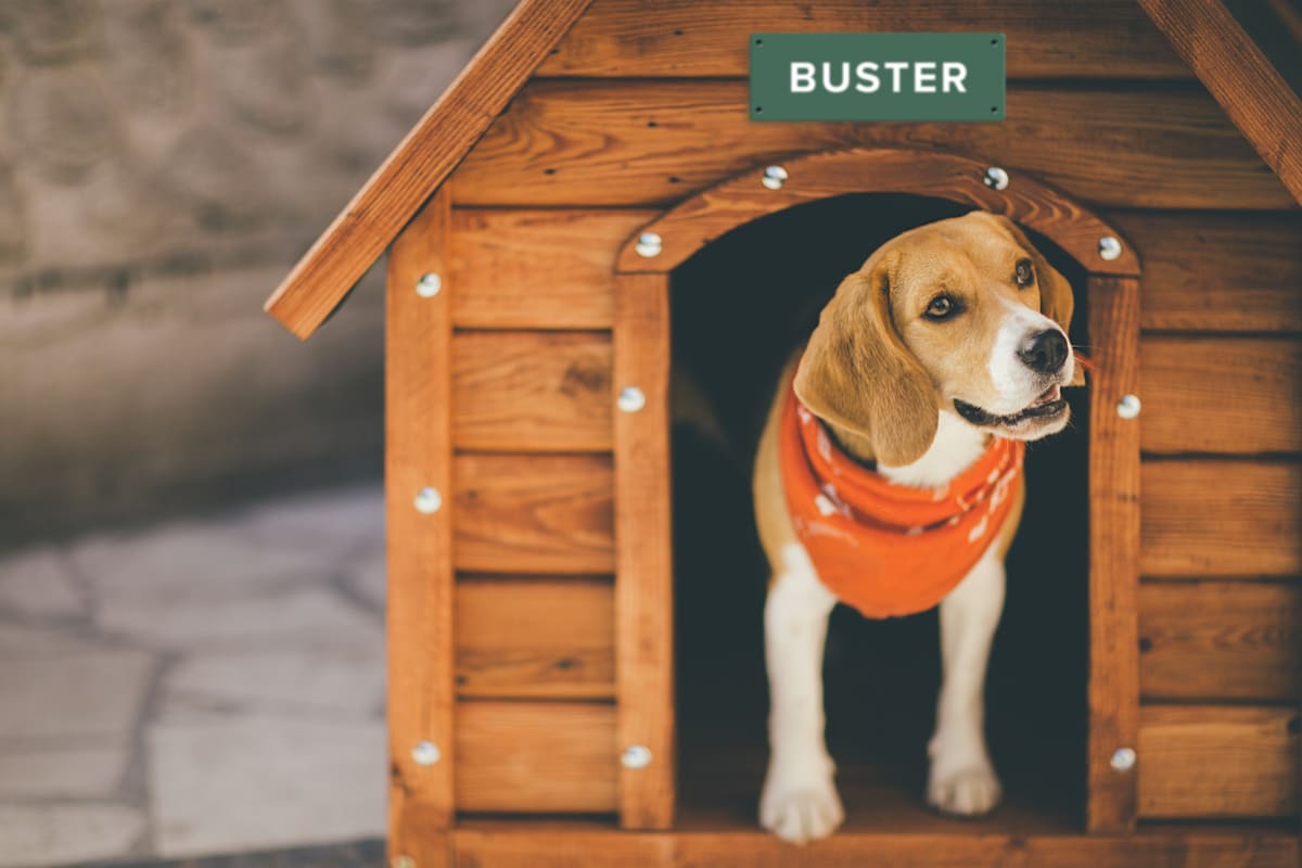 Djurskylt Hundskylt hundkoja Skyltdax