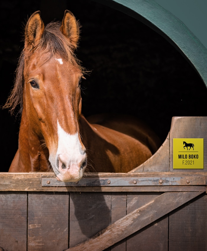boxskylt häst stall plastskylt akryl gul