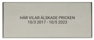 Personlig minnesskylt för djur i förnicklad mässing New York II med graverad text för gravplats eller urna